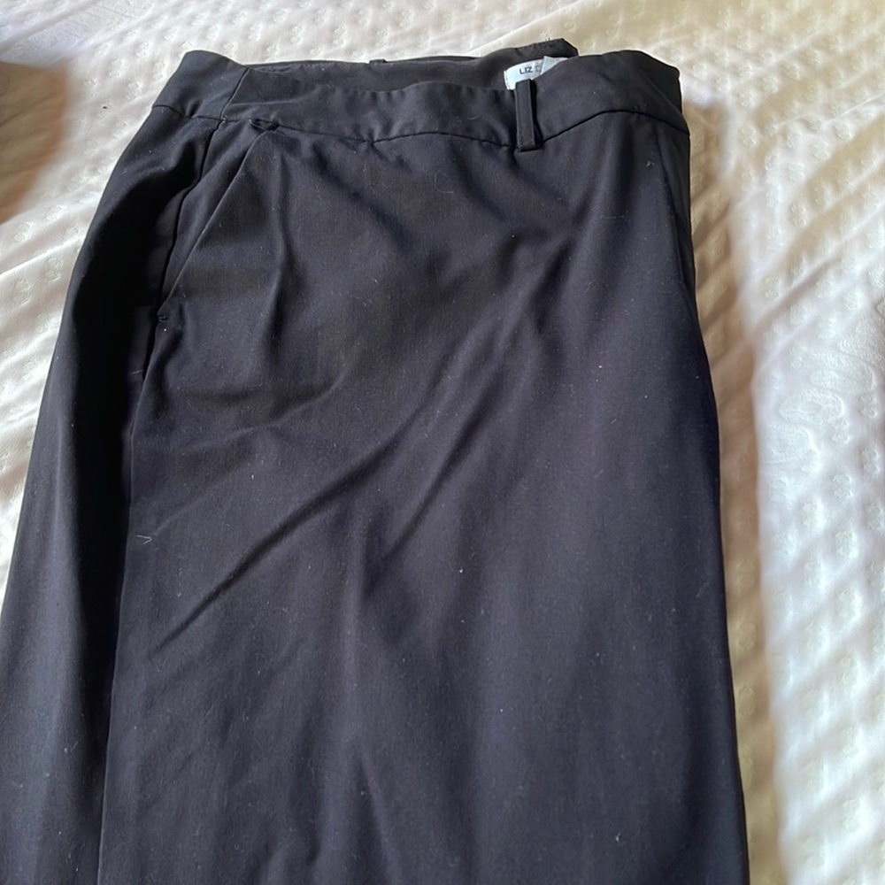 Business pants 22W